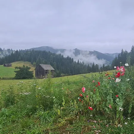 Ceitrei - Mountain View Giumalau Domek alpejski
